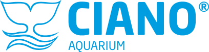 CIANO Aquarium 60